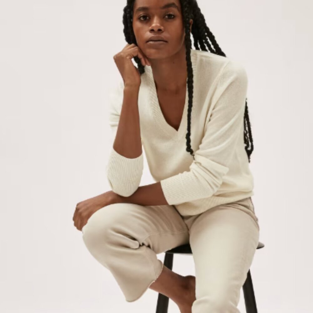 Everlane - The Cashmere V-Neck sweater
